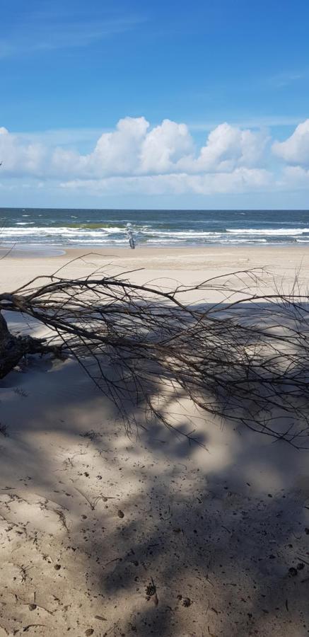 Pinea Baltic - 2 Zimmer Apartment Mit Meerblick Pobierowo Zewnętrze zdjęcie