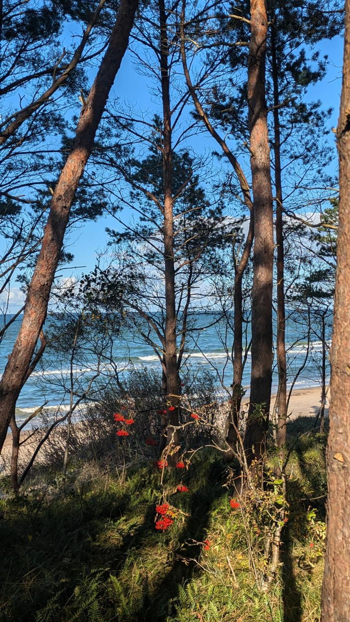 Pinea Baltic - Double Sea View - Apartment Z Widokiem Na Morze Pobierowo Zewnętrze zdjęcie